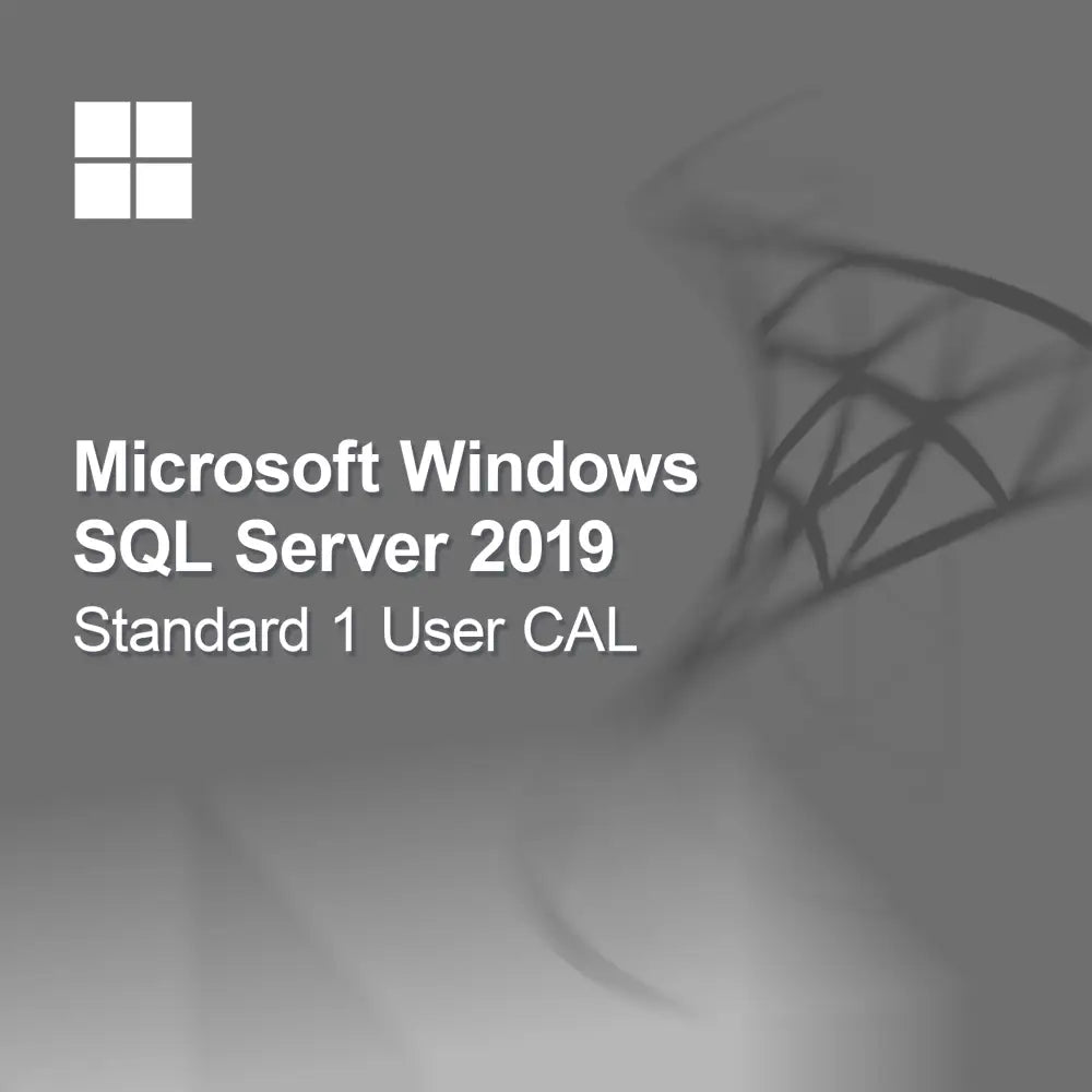 Microsoft SQL Server 2019 Standard 1 uživatelská CAL
