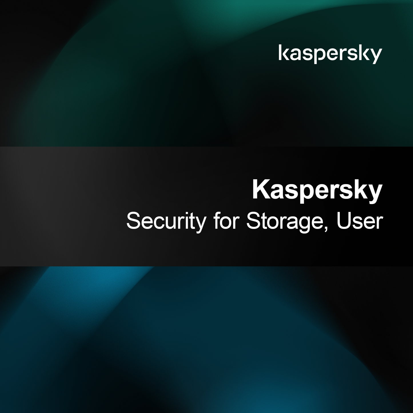 Kaspersky Security pour Stockage, Utilisateur