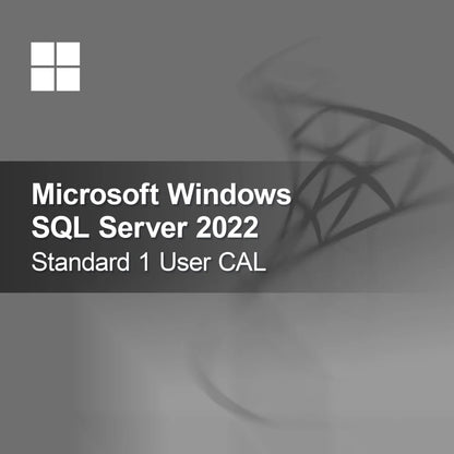 Microsoft SQL Server 2022 Standard 1 uživatelská CAL